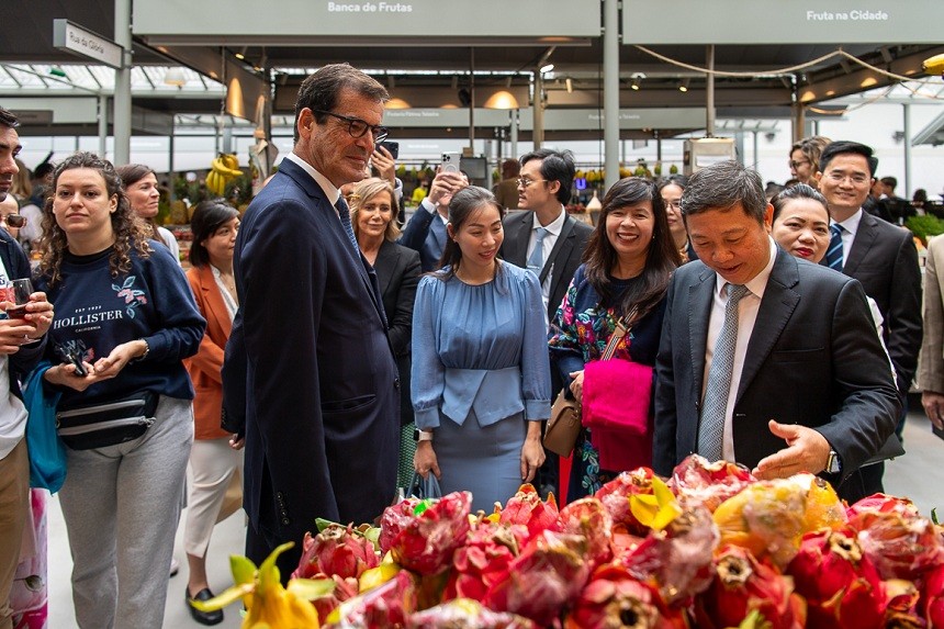 Ho Chi Minh City Promotes Cooperation with Porto City of Portugal
