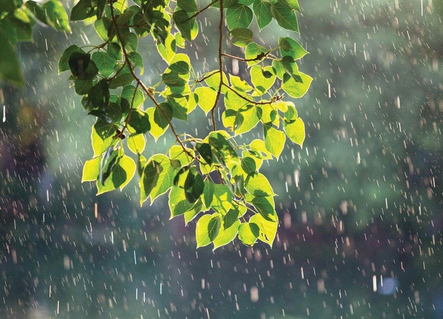 Vietnam Weather Forecast (August 3): Storms Increase In The South China Sea