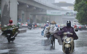 Vietnam’s Weather Forecast (August 16): There Are Showers At Early Morning And Night