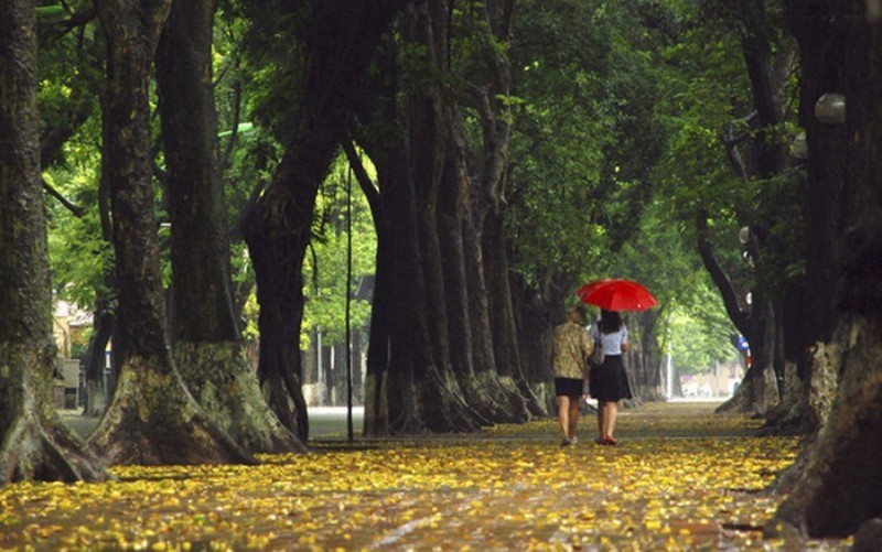 Vietnam’s Weather Forecast (August 19): Hanoi Is Cloudy, Heavy Rain On The Weekend