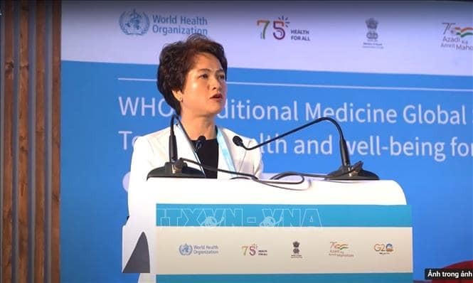 Vietnam Shares Policies to Encourage Development of Traditional Medicine
