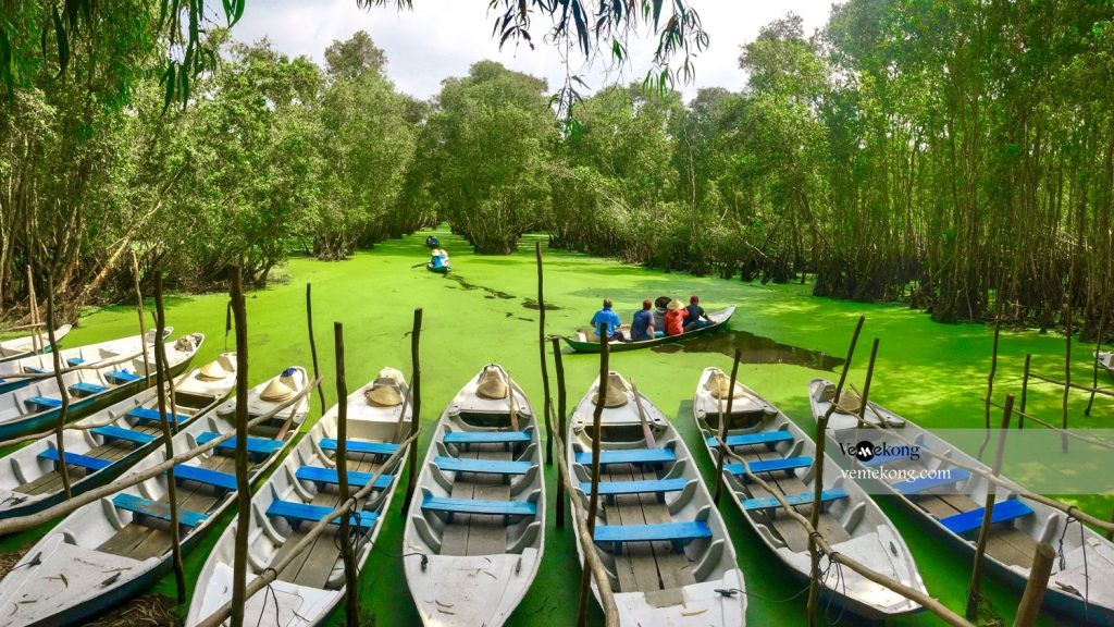 Tra Su Melaleuca Forest – The Fairytale Land Of Vietnam