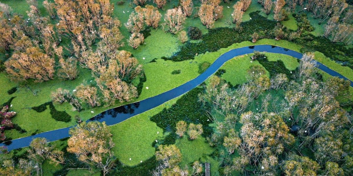 Tra Su Melaleuca Forest – The Fairytale Land Of Vietnam
