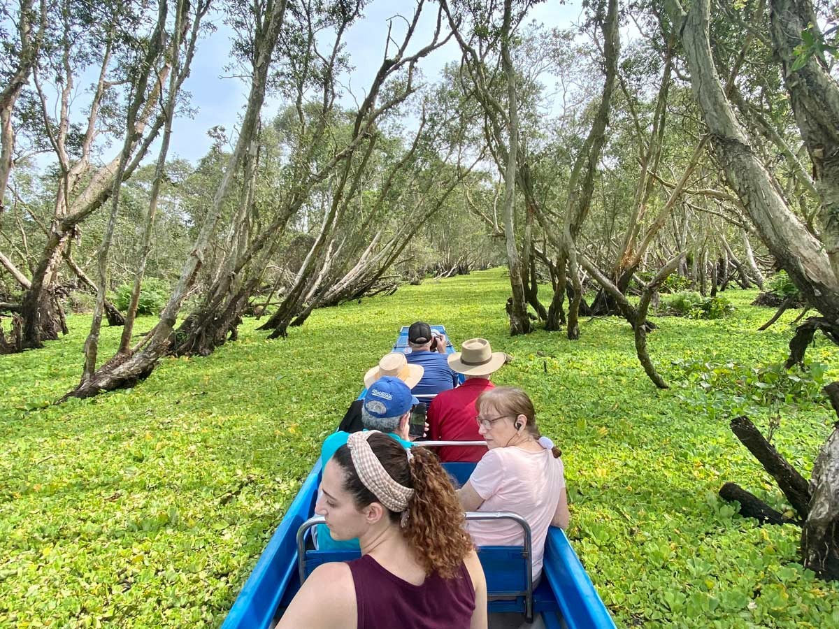Tra Su Melaleuca Forest – The Fairytale Land Of Vietnam