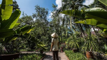 Vietnam’s Weather Forecast (August 26): North Central And Hanoi Are Sunny