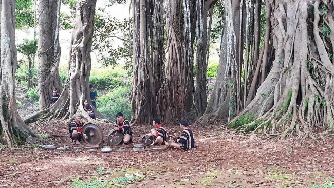 The 200-Year-Old Banyan Tree Unites The Jrai People