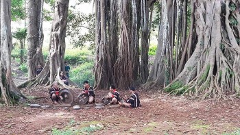 The 200-Year-Old Banyan Tree Unites The Jrai People