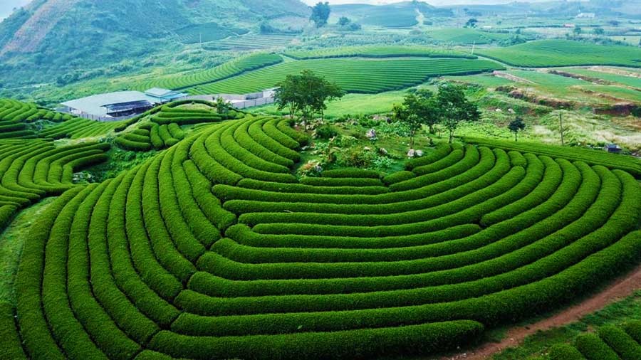 Moc Chau, Cuc Phuong National Park Honored At World’s Travel Awards 2023