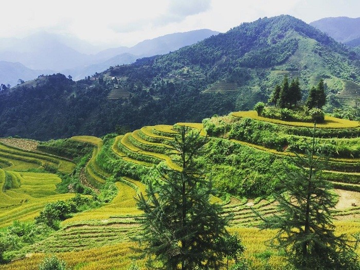 Explore The Wild Beauty Of Si Ma Cai In Lao Cai