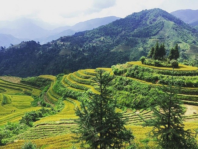 Explore The Wild Beauty Of Si Ma Cai In Lao Cai