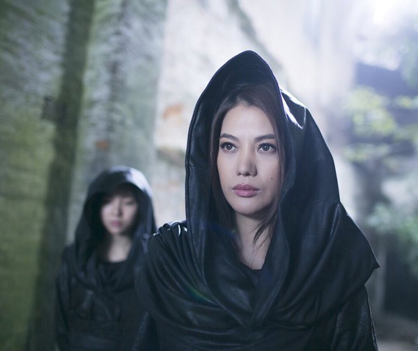 International Press Praise Vietnamese Action Stars