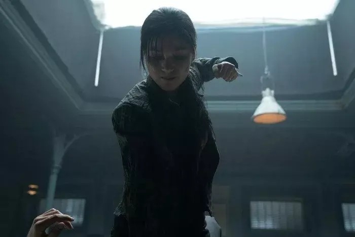 International Press Praise Vietnamese Action Stars