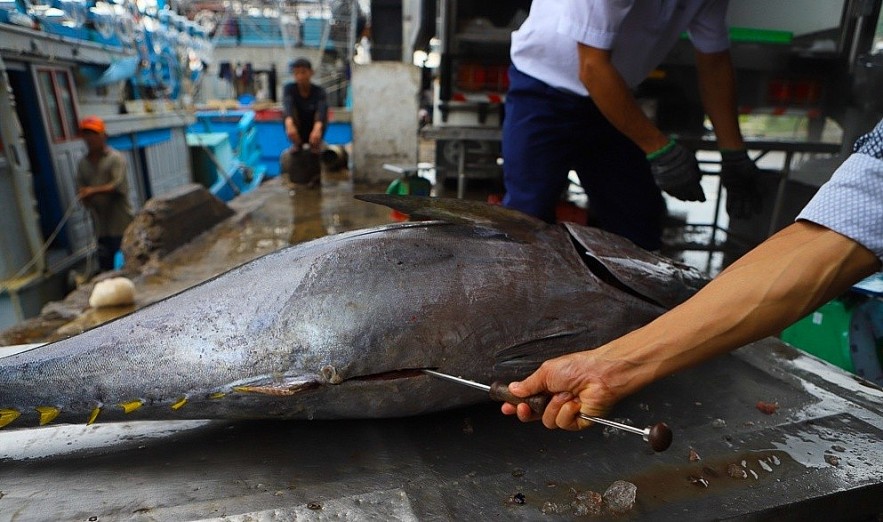 Khanh Hoa Exports to Japan Reaches $111 Million