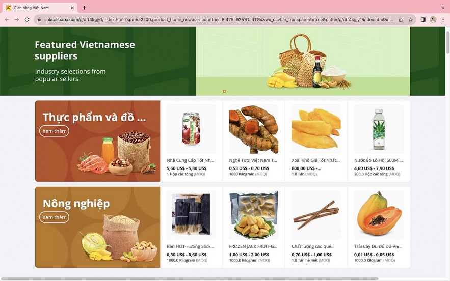 Vietnam Launches National Pavilion on Alibaba