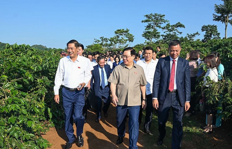 National Assembly Chairman Vuong Dinh Hue Visits Coffee Farm in Son La