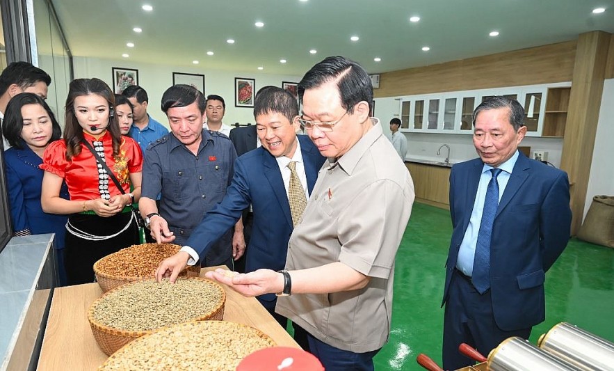 National Assembly Chairman Vuong Dinh Hue Visits Coffee Farm in Son La