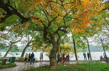 Vietnam’s Weather Forecast (October 24): Sunny Days Return To The Northern Region