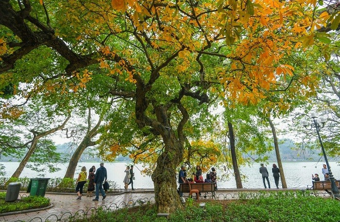 Vietnam’s Weather Forecast (October 24): Sunny Days Return To The Northern Region