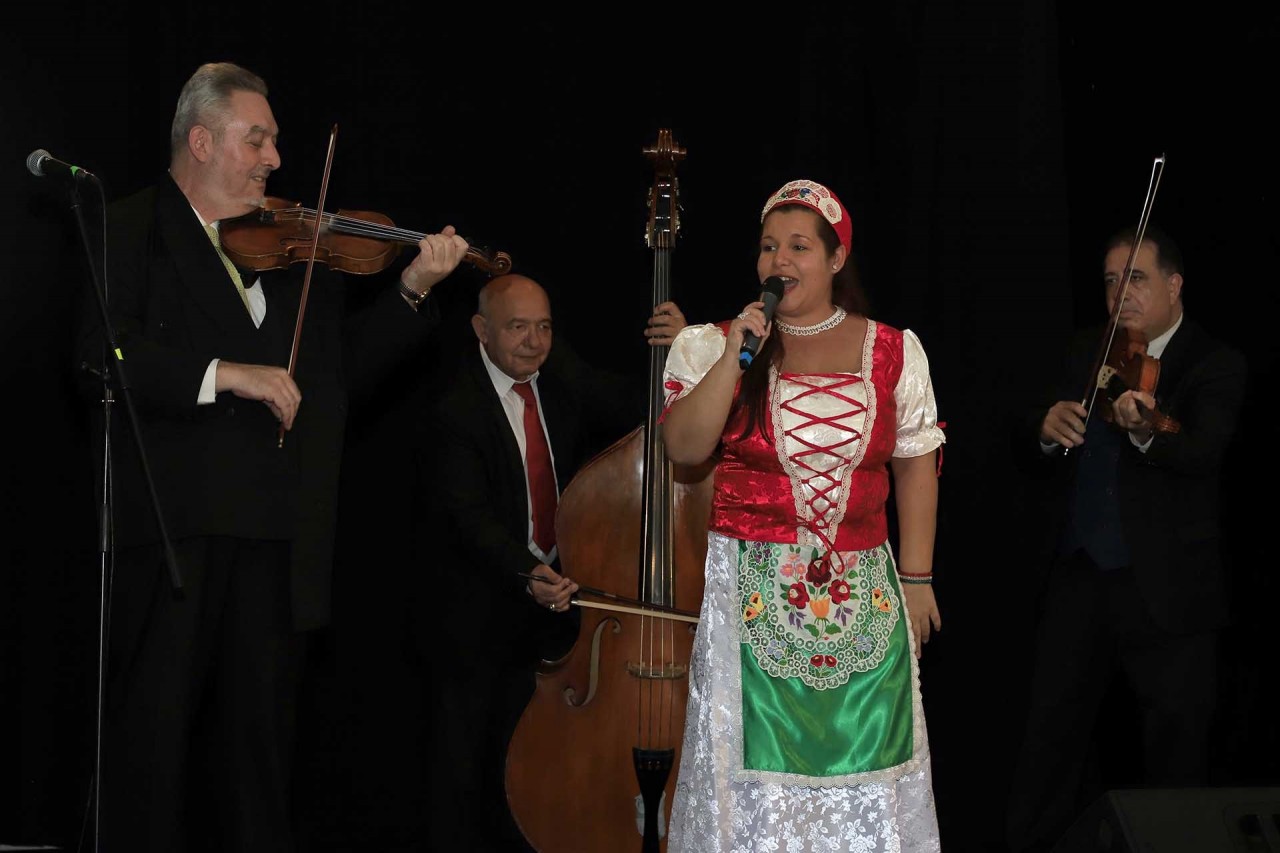 “Vietnamese Cultural Night” Impresses Hungarian Friends