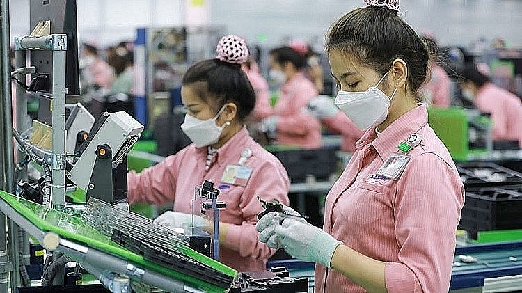 EVFTA Supports Vietnam in Attracting FDI Flows From Netherlands