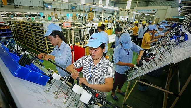 EVFTA Supports Vietnam in Attracting FDI Flows From Netherlands