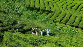 Explore Free Tourist Destinations In Dalat