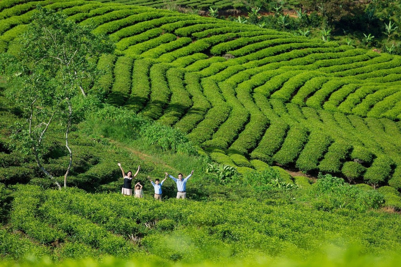 Explore Free Tourist Destinations In Dalat