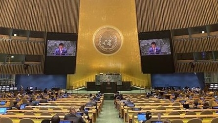 Vietnam News Today (Nov. 11): Vietnam Makes Active, Responsible Contributions to IAEA’s Activities