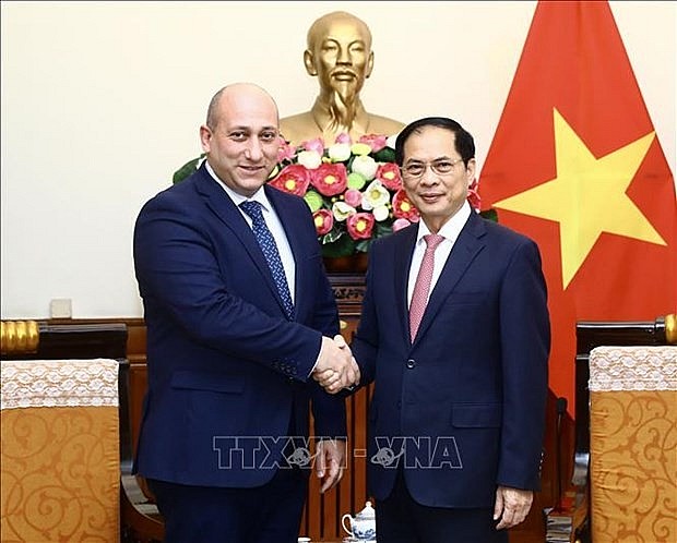 Minister of Foreign Affairs Bui Thanh Son (R) and Georgian Deputy Minister of Foreign Affairs Alexander Khvtisiashvili at their meeting in Hanoi on November 10. (Photo: VNA)