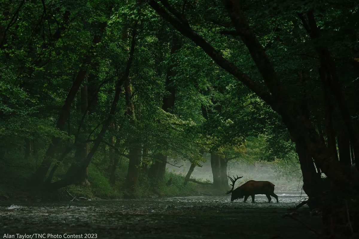 The Nature Conservancy Announces Stunning 2023 Photo Contest Winners Nature Conservancy Announces Stunning 2023 Photo Contest Winners