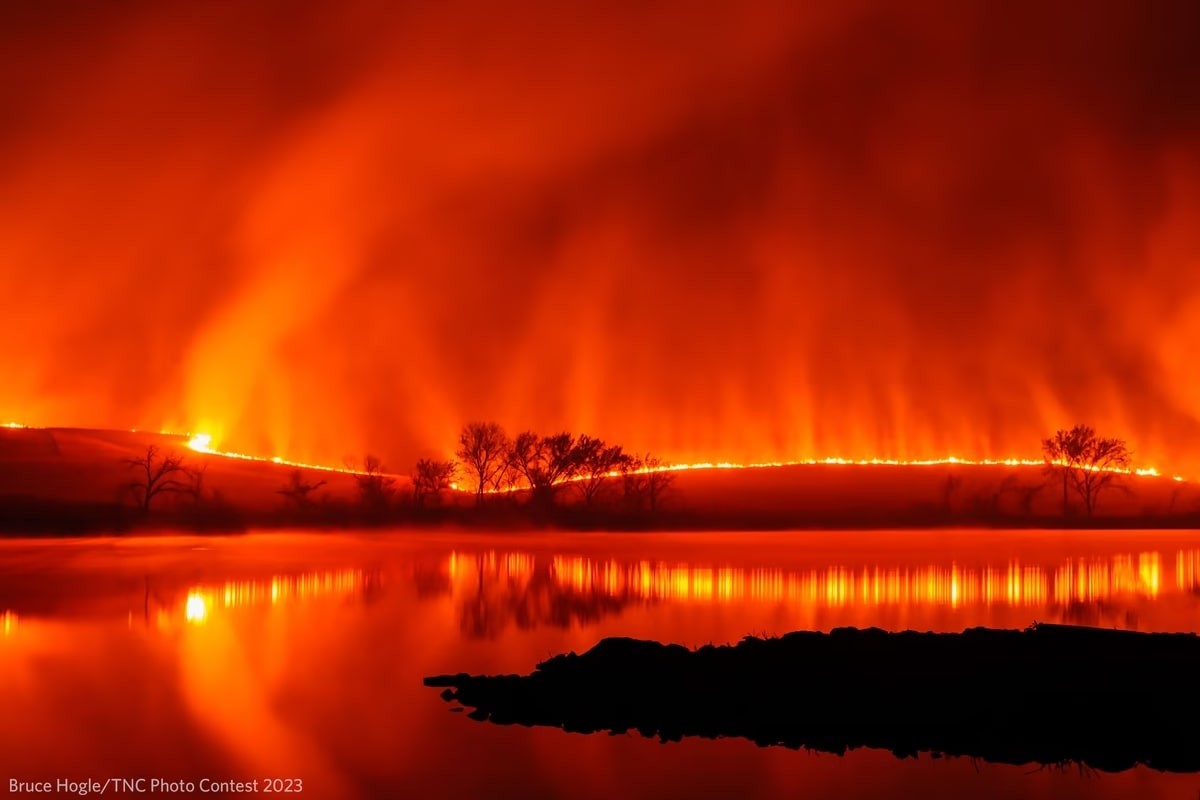 The Nature Conservancy Announces Stunning 2023 Photo Contest Winners Nature Conservancy Announces Stunning 2023 Photo Contest Winners