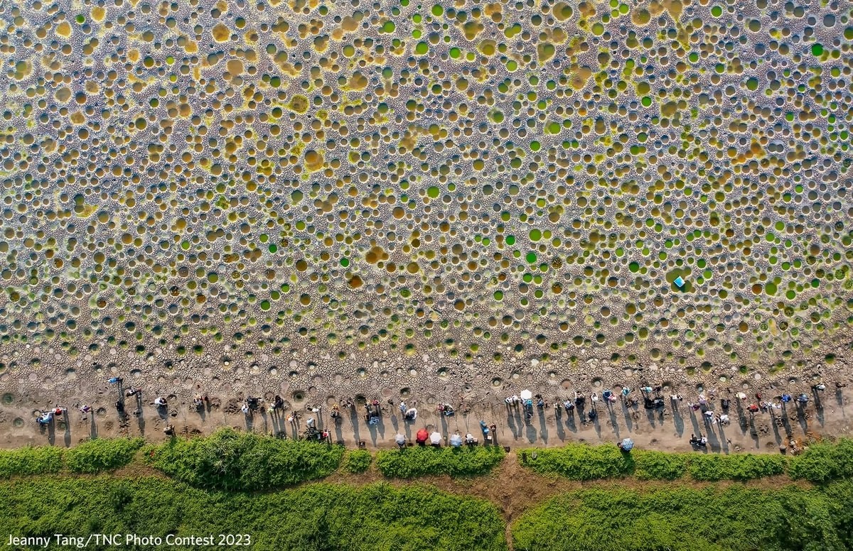The Nature Conservancy Announces Stunning 2023 Photo Contest Winners Nature Conservancy Announces Stunning 2023 Photo Contest Winners
