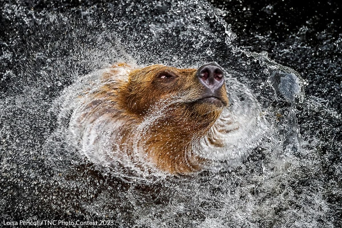 The Nature Conservancy Announces Stunning 2023 Photo Contest Winners Nature Conservancy Announces Stunning 2023 Photo Contest Winners