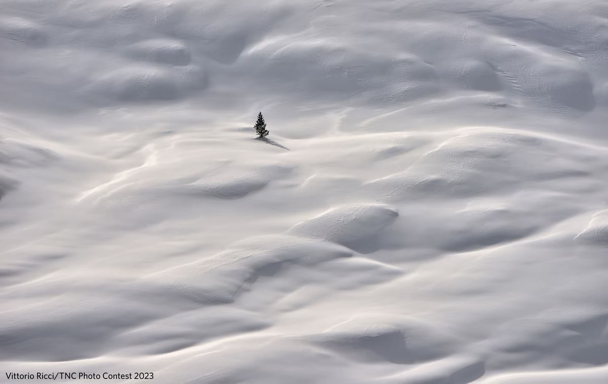 The Nature Conservancy Announces Stunning 2023 Photo Contest Winners The Nature Conservancy Announces Stunning 2023 Photo Contest Winners