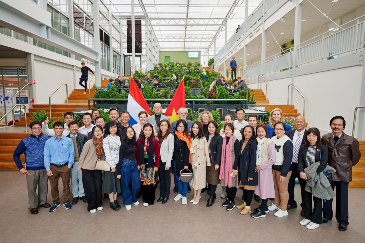 New Lily Variety Unveiled to Mark 50 Years of Vietnam-Netherlands Relations