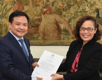 Vietnam And Brazil Effectively Implement Bilateral Cooperation Plans
