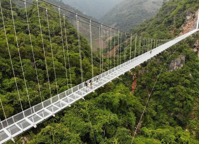 Bridges Article