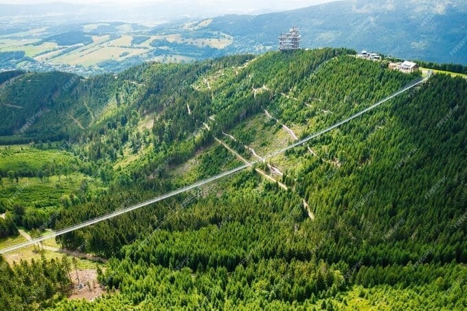 Bridges Article