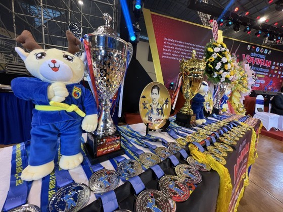 35 Countries, Territories Take Part in World Vovinam Championship in HCM City