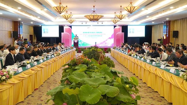 At the conference promoting investment and trade cooperation between the Mekong Delta province of Dong Thap and Japan 