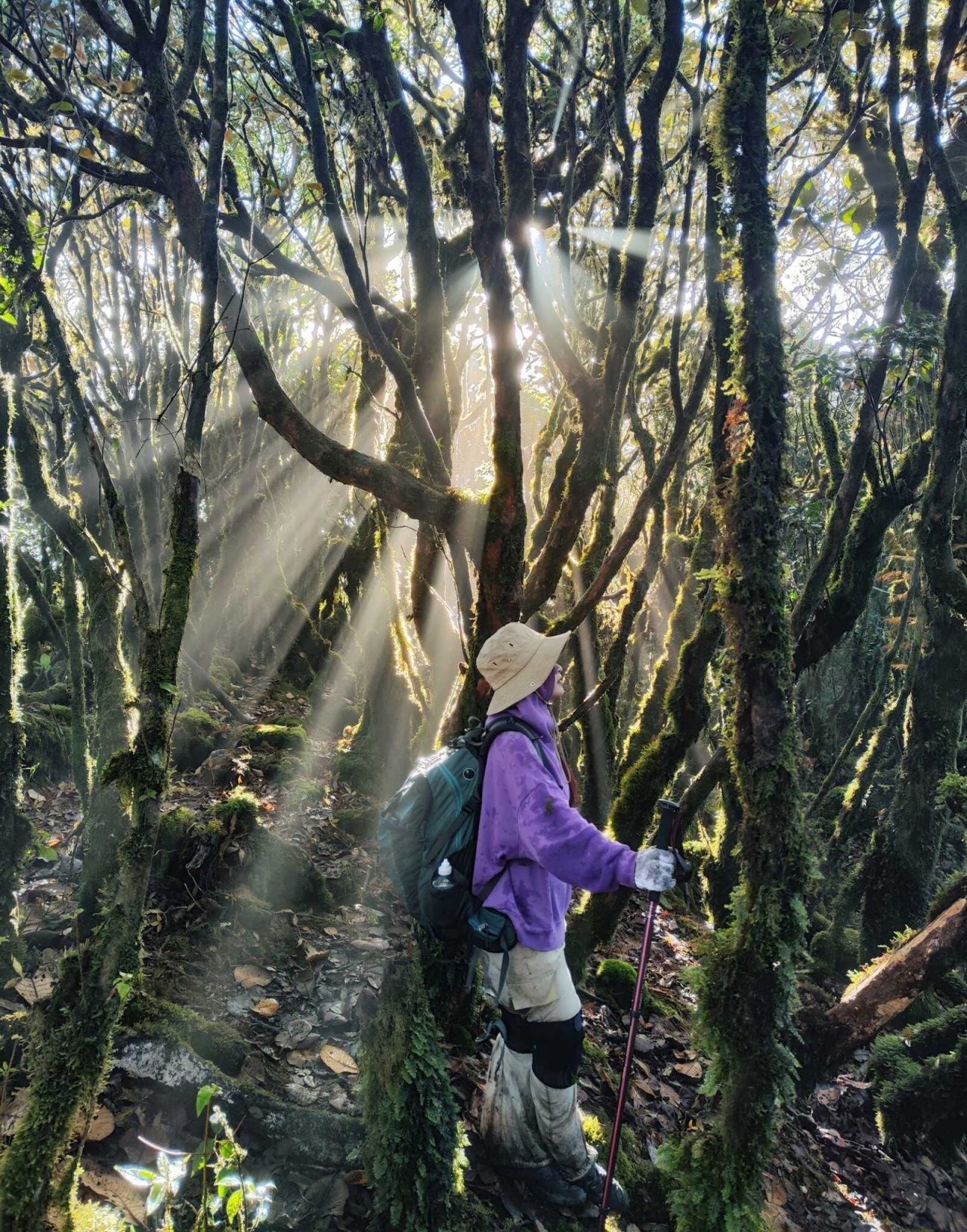 Conquer The Wild Sa Mu Mountain Peak In Ta Xua