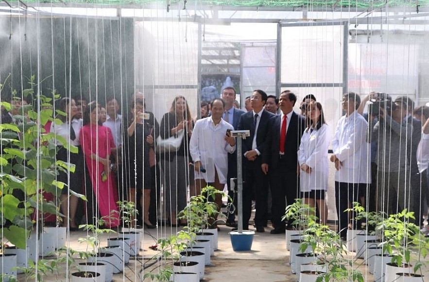 Learn to Grow Crops in the Desert