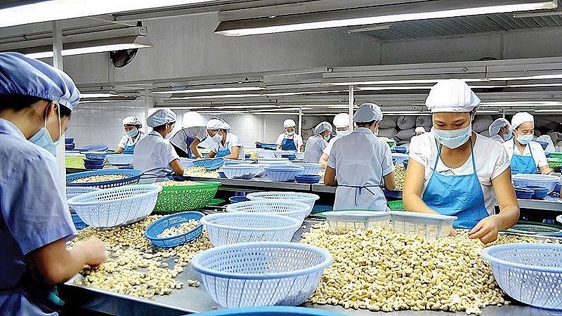Promoting Vietnamese Agricultural Products in Middle East-North Africa Region