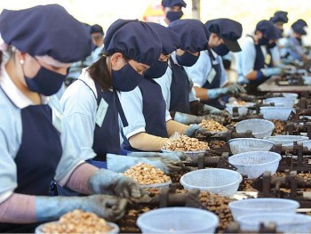 Promoting Vietnamese Agricultural Products in Middle East-North Africa Region
