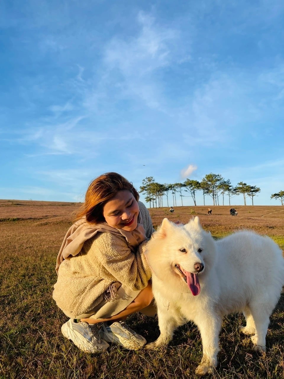 Marvel At The Masara Pink Grass Hill In Lam Dong