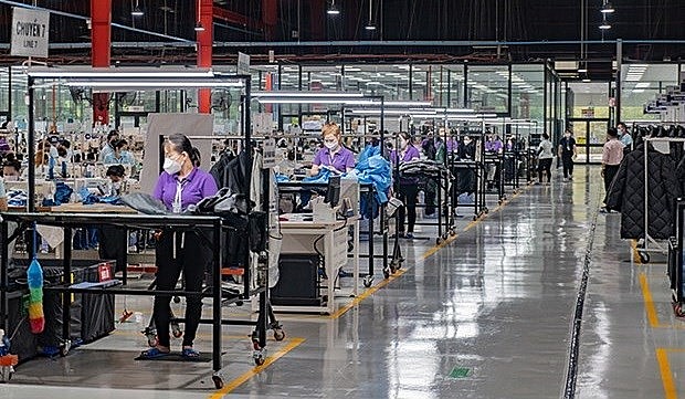 Workers of Viet Vuong 3 company in Ben Tre province (Photo: VNA)