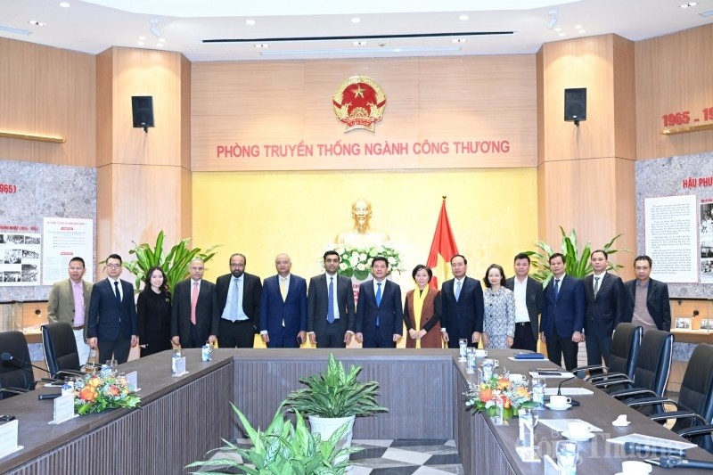 Indian Businesses Seek to Invest in Vietnam's Energy Sector