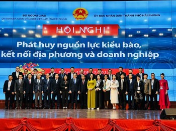 Overseas Vietnamese Contribute Knowledge, Experience, Material Resources to Homeland