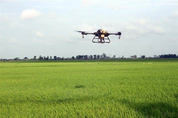 WB-Funded Project Makes Positive Impact on Soc Trang's Rice Industry