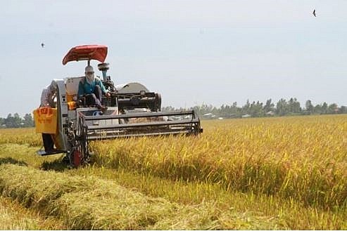 Agriculture has an important role to play in the cooperative ties between Vietnam and Canada. (Photo: VNA)